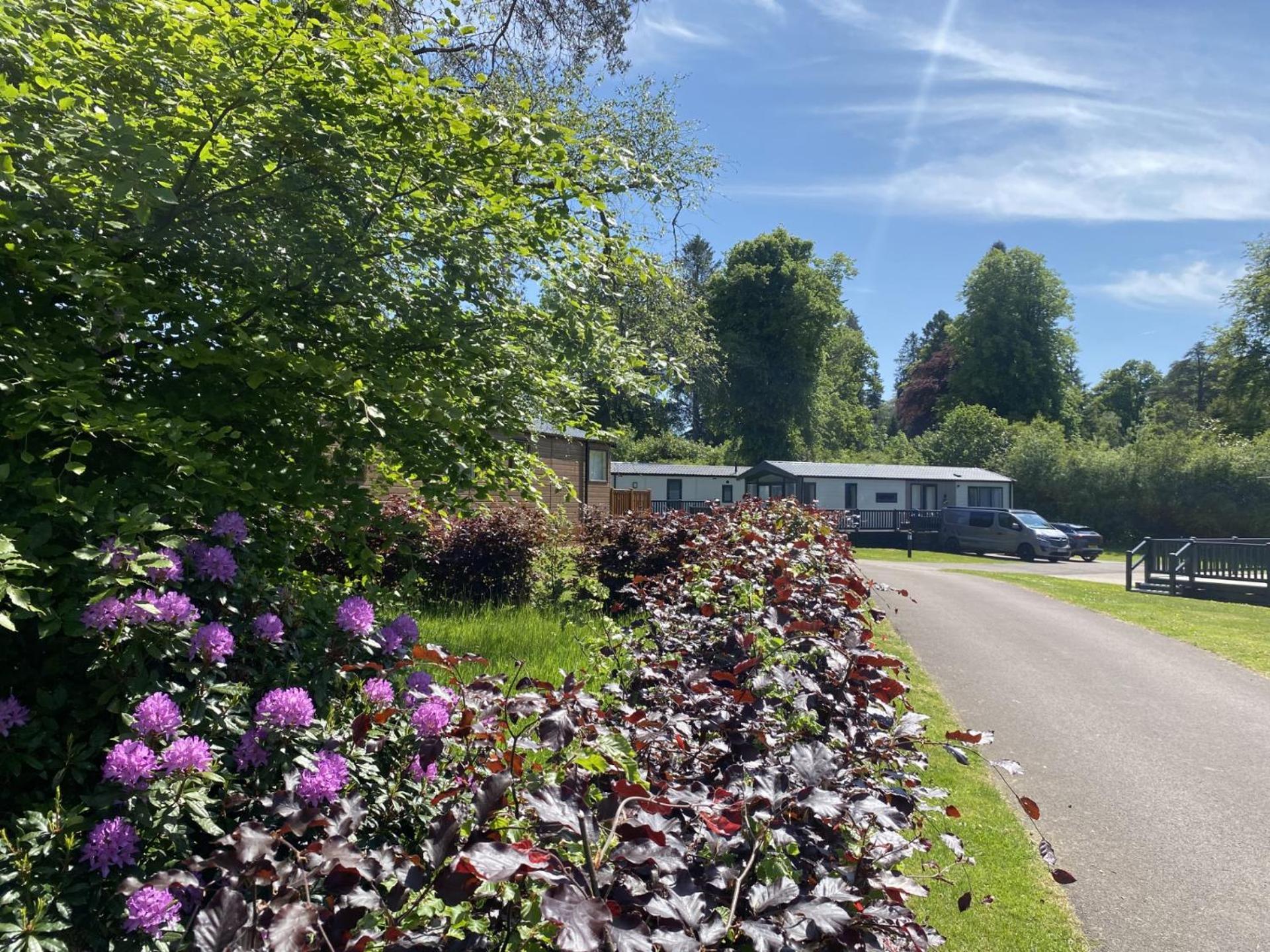 Callander Woods Holiday Park Extérieur photo